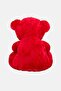 Holding Heart Shape Cuddly Teddy Bear Toy - 5