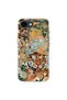 iPhone 17E Compatible Printed Transparent Phone Case |   Collection: Wildspirit Prime