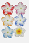 Set of 6 Desert Roses Watercolor Embroidered Edged Cocktail Napkins - 8