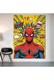 Spider-Man Pop Art Wall Covering Wall Tapestry First Quality Satin Fabric Poster