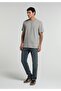 Regular Fit Round Neck Striped Men's Gray Short Sleeve T-Shirt - 3