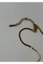 Steel Scorpion Gold Color Necklace 45 cm (+5 cm Extension) - 4