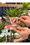 6-Person Porcelain Lavin Bird Pink Coffee Cup - 2