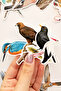 Anatolian Birds 25 Piece Sticker Pack Waterproof Laptop Thermos Phone Sticker Set - 5