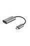 Dalyx USB-C HDMI adapter silver - 6