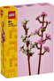 Cherry Blossoms for Ages 8+ (40725)