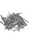 High Strength Round Head Nails for Carpentry and Electrical Work (Pack of 50, 2.5 Inch)