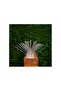 Bird Spikes-Stainless Steel 5-Pin Bird Repellent Spikes, Comes Assembled, Covers (Pack-Of-2) - 3