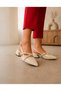 Women's Pointed Toe Mary Jane Low Block Heel Belted Stylish Casual and Evening Dress Faux Leather Shoes