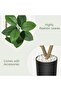 1 Pack PE Front Door Decor Artificial Double Stem Green Oak Leaf Tree - Practical, Exquisite, Green, and Decorative - 7