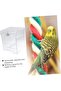 Multi-purpose bird bath tub, thickened transparent hanging feeder - 5