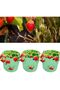 Light green strawberry growing bags. 7 gallons. 6 openings. for flowers and vegetables. Indoor/Outdoor. 3-pc set. Medium 30x35 cm (26 liters) - 4