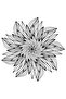 Stylized Flower Thin Petal Pattern Printed Women's T-Shirt - 4