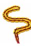 Powdered Amber Capsule Cut Prayer Beads – Premium Daily Use – Gift Prayer Beads - 3