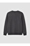 Peak New Season Anthracite Crew Neck Embroidered Men's Thick Sweatshirt - 8