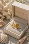 Starfish & Nautilus Steel Ring - Adjustable (Gold Color) - 3