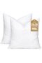 Synthetic Down Pillow Insert, 20x20 Down Alternative Throw Pillow Insert. Ultra Soft Fluffy