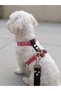 Dog Chest Harness Adjustable Small & Small Breed H Type Column Cord Pink & Black