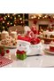 Marketplace Beram Animal Christmas Flower Pot Cat Polyresin Cute Kitty Succulent Planter Decorative Santa Hat Vase with Gift Box Design Indoor Outdoor Home Office Garden Decor Pen Pencil Holder Propag - 5