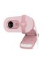 Cameră web Brio 100 (960-001623) - 5