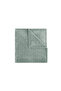 Averia Wellsoft Double Blanket - Sage - 5