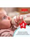 First Choice PP Biberon, 150 ml, Koala - 2