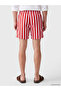 Nevavm Short Length Striped Men's Swim Shorts with Difference - 4