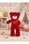 Heart-Shaped Plush Teddy Bear, Special Birthday Gift for Love, Playmate I