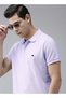 Men's Polo T-Shirt Regular Fit, Soft & Breathable, Perfect for Casual & Everyday Wear - 2