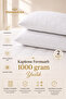 2 Pieces Air Conditioned Quilted Zippered 1000 grams Pillow 50×70