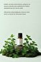 Peppermint Essential Oil 10 ml Pure and Natural (Peppermint Essential Oil) - 2