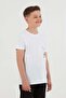 100% Cotton Printed Boy's T-Shirt - 3