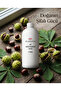 Horse Chestnut Oil 1 kg - 2