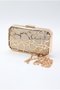 Elegant Evening Bag with Metal Detailing, Stylish Design, Suitable for Hand and Shoulder Use - 8