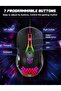 CW902 Gaming Mouse, Wired PC Entry Level Mice with RGB Backlit and Adjustable DPI - 5