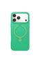 Apple iPhone 17 Pro Max Regal Magsafe Stand Cover - Green - 2