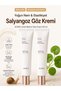Snail Matrix Eye Cream Intensive Moisturizing Eye Cream Containing Snail Extract and Peptides 30ml - 3