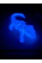 3D HAREKETLİ NEON EJDERHA(38 CM) - 4