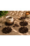 Design Brown Flower Coaster Set (4 Pieces)