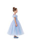 D'Daniela - Cinderella Dream Ballgown - Blue - 3Y to 12Y - 2