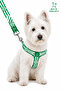 Adjustable Printed Scarf, Chest Harness and Travel Strap Set World Cup Series - 4