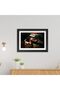 Alayra Ayrton Senna Moments Poster Formula One Racer Superstar Poster Framed Painting with a Black - 2