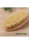 Premium Glow: Organic Bliss Shower and Dry Brush Set for Exfoliating, Cellulite Reduction, and Lymphatic Massage - 4