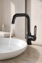 Anthracite Gray Sink Faucet High Model Valero Anthracite Swivel Head Sink and Sink Faucet Functional - 4