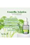 Premium Centella Skincare Set – Hydrating, Soothing, and Brightening Beauty Essentials - 3