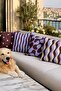 Set of 4 Patterned Throw Pillow Covers in Matching Colors - 2