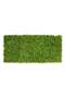 Haven Artificial Green Wall 200x100cm - Light Green - 3