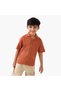 Collared Short Sleeves Shirt with Textured Design