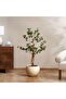Andro Polyresin Planter Dia37x28cm - Cream