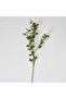 Elm Leaves Artificial Stem 17.78x17.78x88.9cm- Green - 3